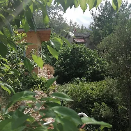 Olimpos Pasa Antalya