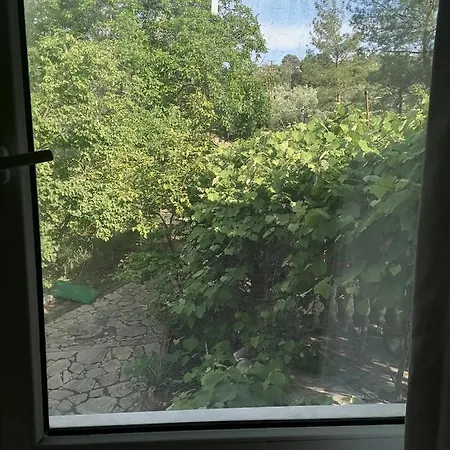 Apartman Olimpos Pasa *