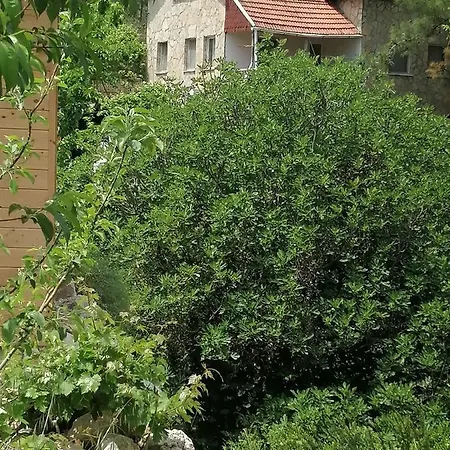Olimpos Pasa Lägenhet Antalya
