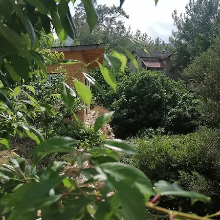 Olimpos Pasa Antalya